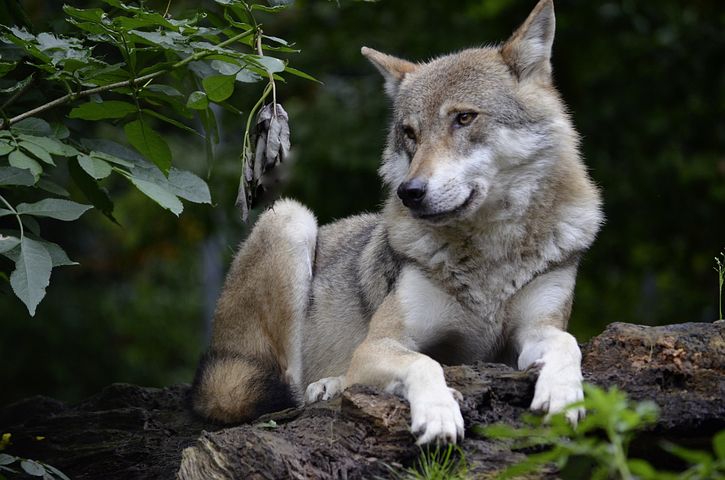 Sindromul impostorului: Când te simți ca și cum ai fi un "escroc"