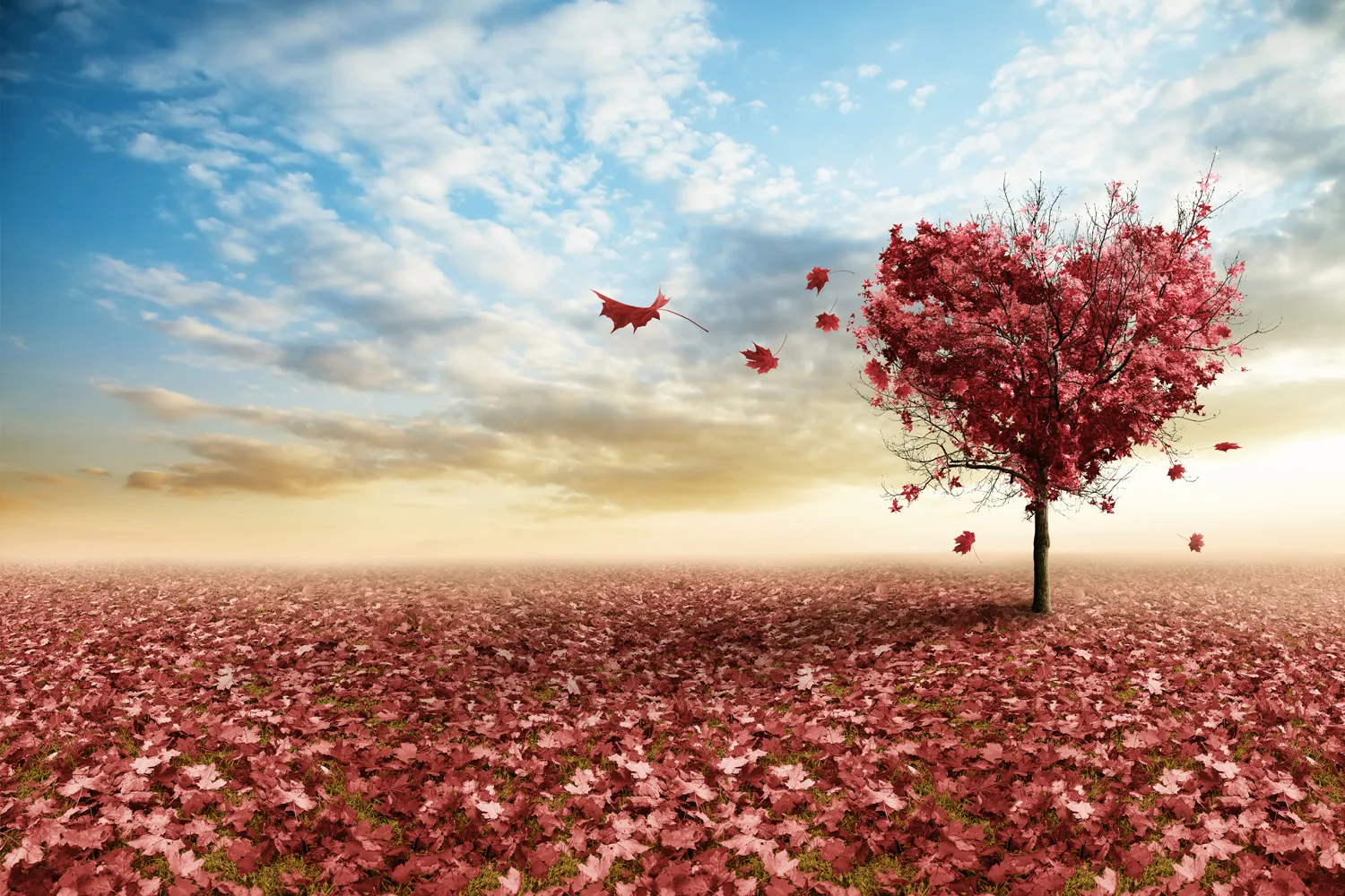 Elementele necesare unei iubiri mature (Erich Fromm)